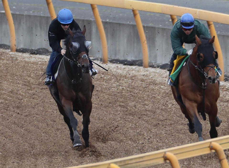 　ルメールを背に併せ馬を行ったレイデオロ（左）