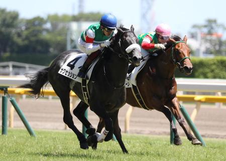 グレイトホーンをかわすサクセッション（左）