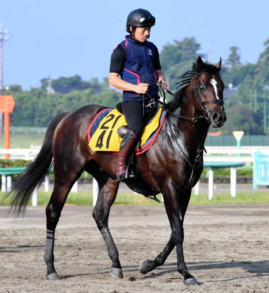 　待望の重賞初制覇を狙うロシュフォール