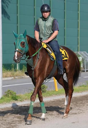 　運動するゴールドサーベラス＝美浦トレーニングセンター