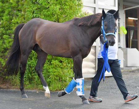 　運動するキングズガード