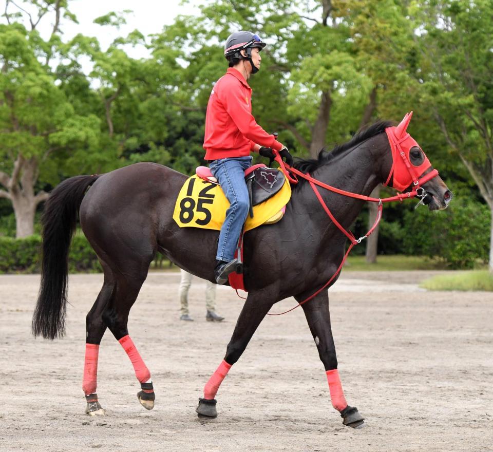 土曜福島の危険な人気馬/競馬・レース/デイリースポーツ online