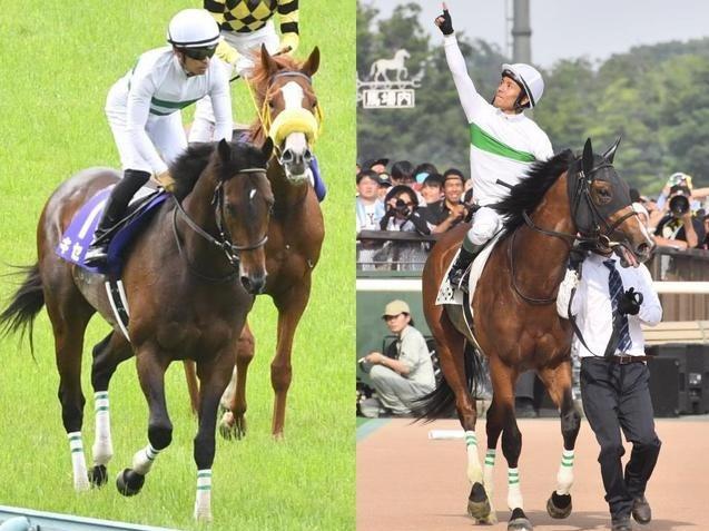 キセキはフォワ賞 ロジャーバローズはニエル賞から 凱旋門賞の前哨戦が決定 競馬 レース デイリースポーツ Online