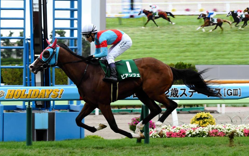 函館２歳Ｓを制したビアンフェ＝函館競馬場（撮影・三好信也）