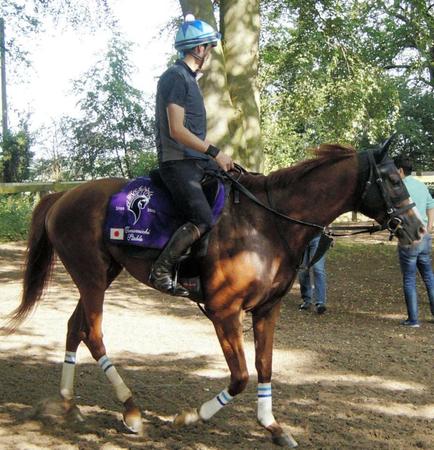 　シュヴァルグラン