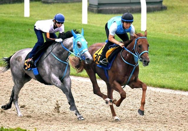 【アイビスＳＤ】ライオンボス王者の風格　２カ月ぶり実戦もパワフルなフットワーク