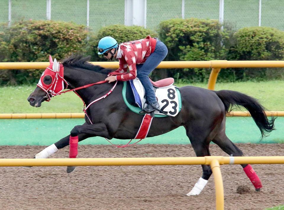 　函館Ｗで追い切ったサトノガーネット