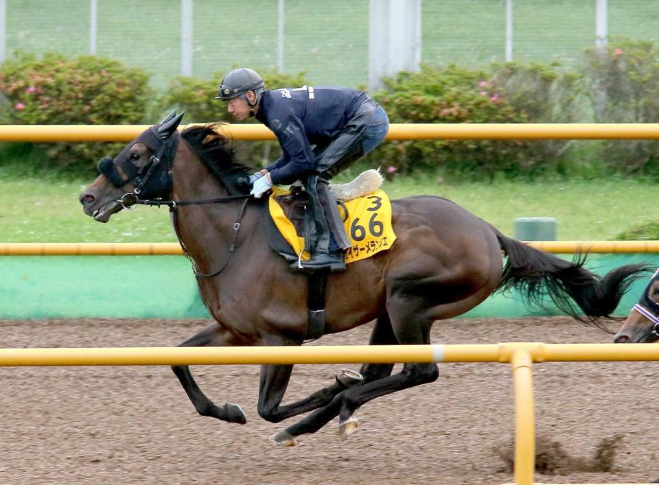 　函館Ｗで好仕上がりをアピールしたカイザーメランジェ