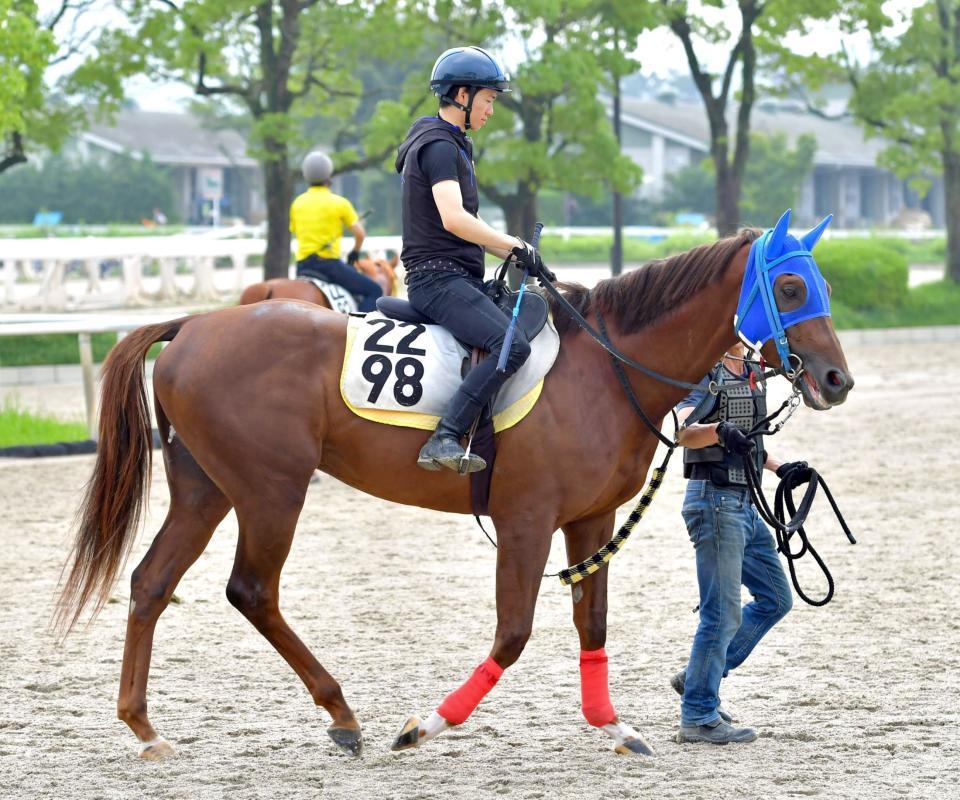 土曜小倉の危険な人気馬/競馬・レース/デイリースポーツ online
