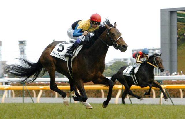 ディープの金子オーナーも深い悲しみ 競馬 レース デイリースポーツ Online