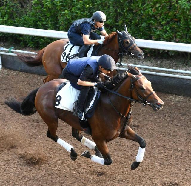 【小倉記念】アイスストーム　反応良くグイッと加速１馬身先着