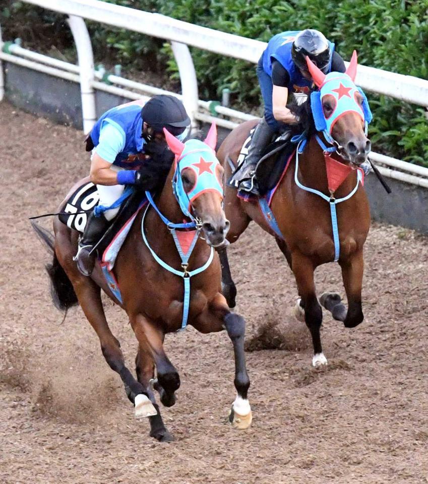 　栗東坂路を駆け上がったサトノギャロス（右）＝撮影・佐藤厚