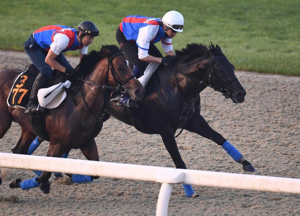　素軽さ満点の動きを披露したデルマルーヴル（右）＝撮影・園田高夫