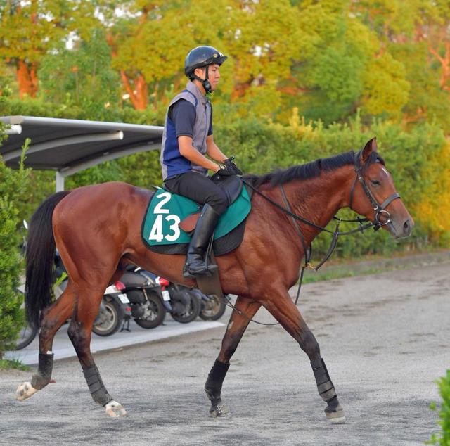 【小倉２歳Ｓ】素質馬ラウダシオン　１週前追いで余裕の先着！新コンビ武豊も笑顔