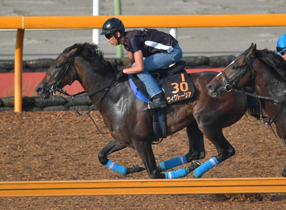 　栗東ＣＷで順調ぶりを示したウィクトーリア