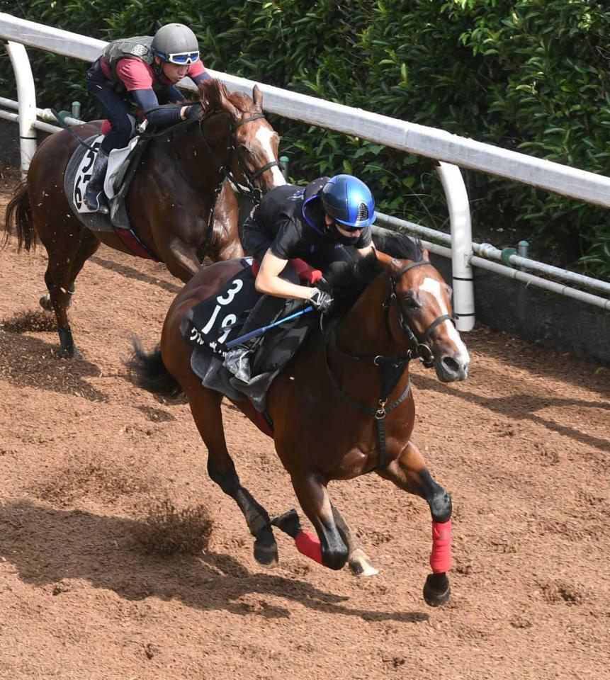 　栗東坂路で文句なしの動きを披露したグルーヴィット（手前）＝撮影・佐藤厚