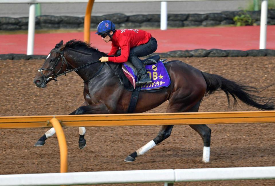 　川田を背に栗東ＣＷで追い切るダノンファンタジー