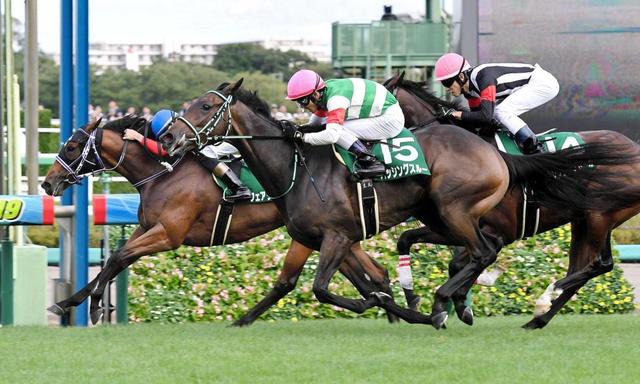 【紫苑Ｓ】パッシングスルー重賞初Ｖ　ディアドラ、ノームコア…出世レース鼻差制す