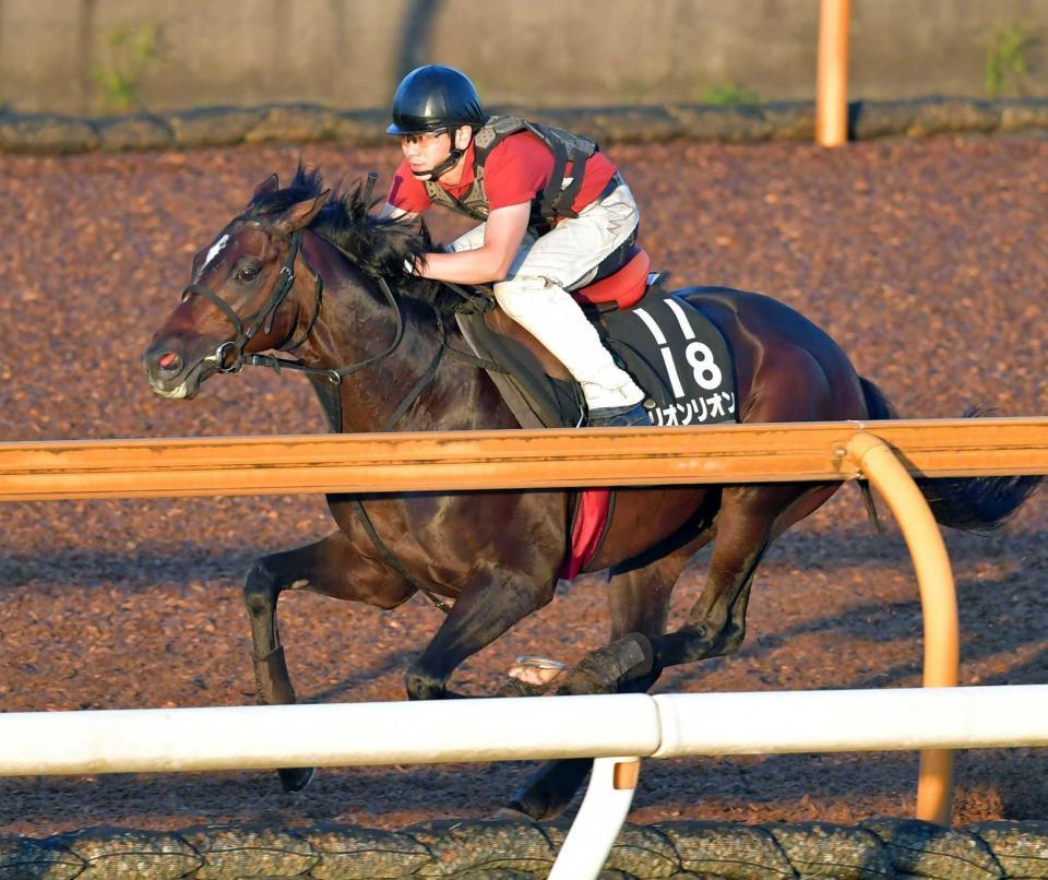 　栗東ＣＷでパワフルな動きを披露したリオンリオン（撮影・石湯恒介）