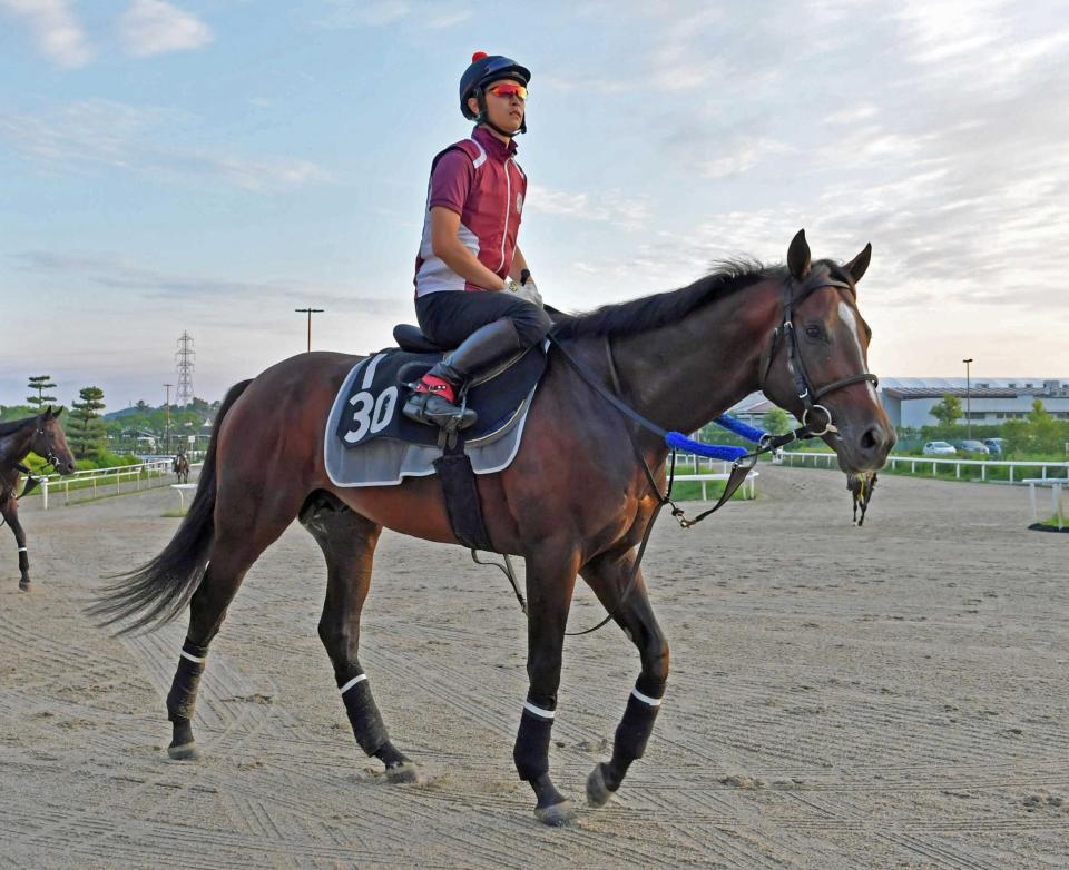 　春の雪辱を期すヴェロックス