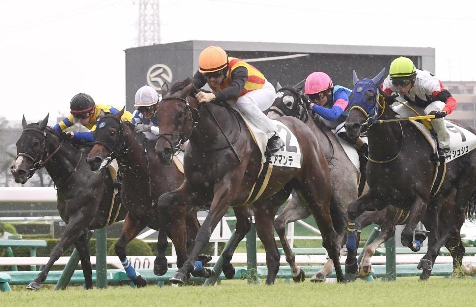 他馬を楽々かわしたミアマンテ（中央）＝中山競馬場