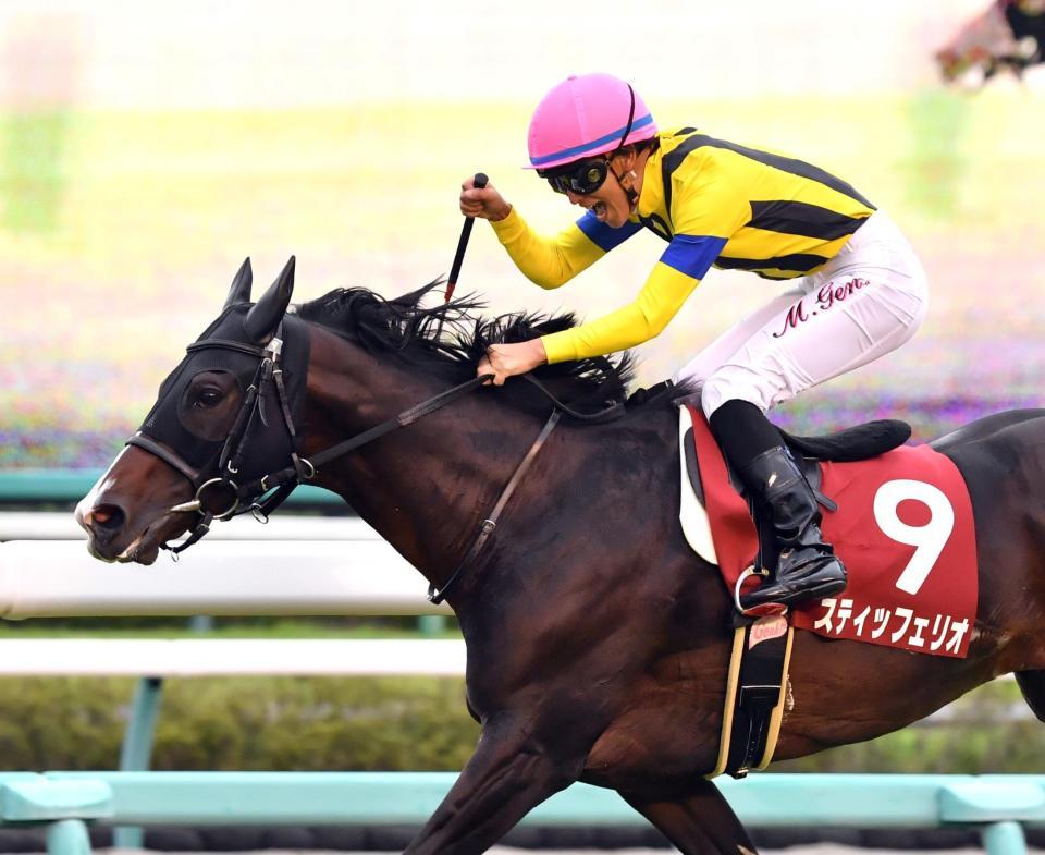 ガッツポーズでゴールへ向かうスティッフェリオ鞍上の丸山元気＝中山競馬場