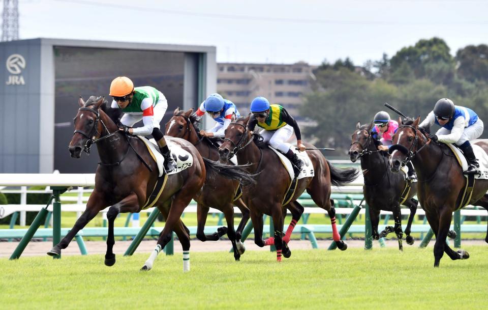 持ったままで抜け出したアヌラーダプラ（左）＝中山競馬場