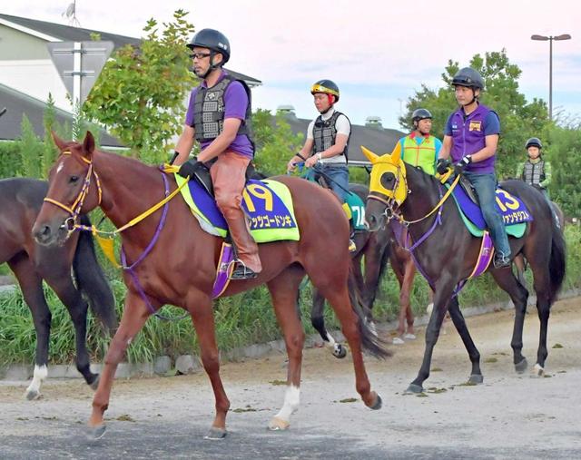 スプリンターズｓ レッツゴードンキ ファンタジスト 強力４歳世代に待った 競馬 レース デイリースポーツ Online