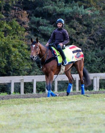 　決戦に向けて順調な仕上がりを見せるエネイブル