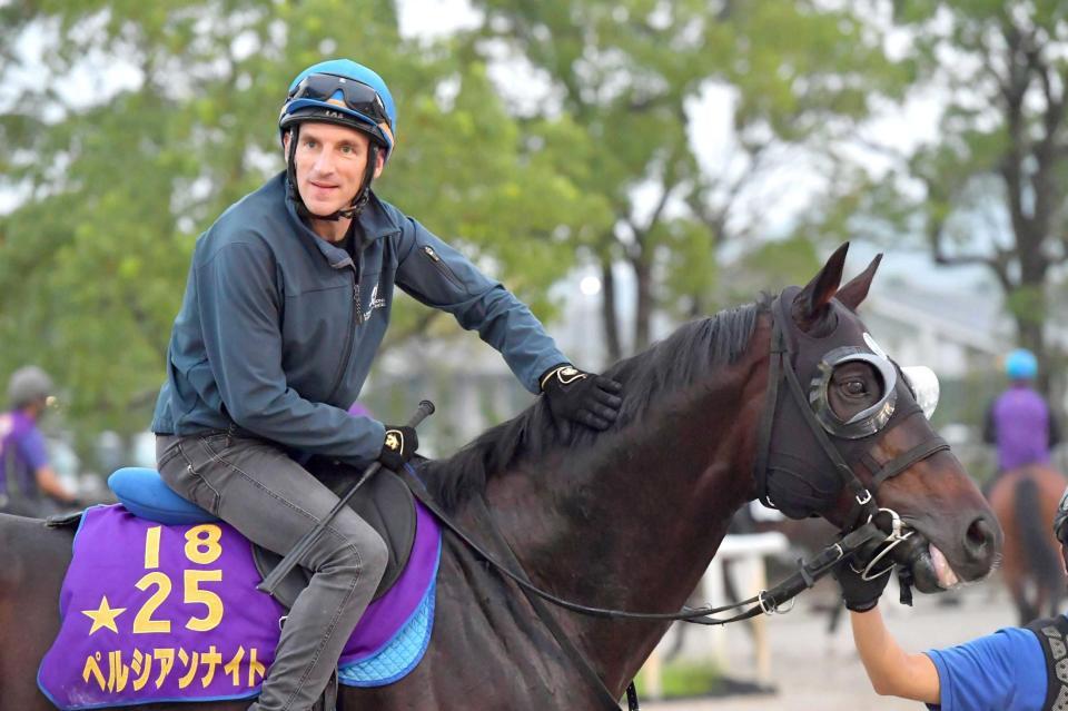 　ペルシアンナイトをなでるシュタルケ