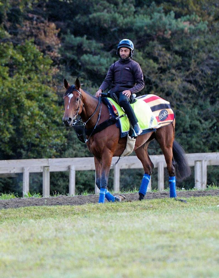 　決戦に向けて順調な仕上がりを見せるエネイブル