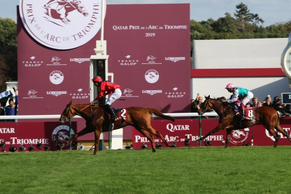 【凱旋門賞】日本馬3頭は惨敗 ヴァルトガイストがV/競馬・レース/デイリースポーツ online 【凱旋門賞】日本馬3頭は惨敗 ヴァルトガイストがV/競馬・レース/デイリースポーツ online