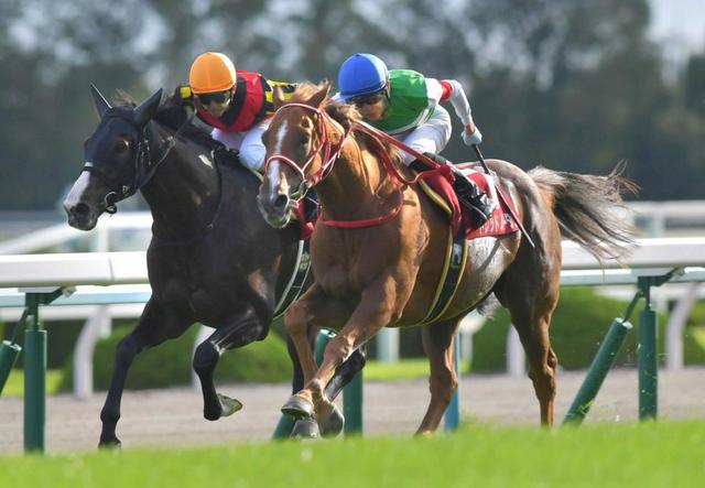 京都大賞典 ドレッドノータス絆で大金星 師匠 矢作師 瑠星で勝てて良かった 競馬 レース デイリースポーツ Online