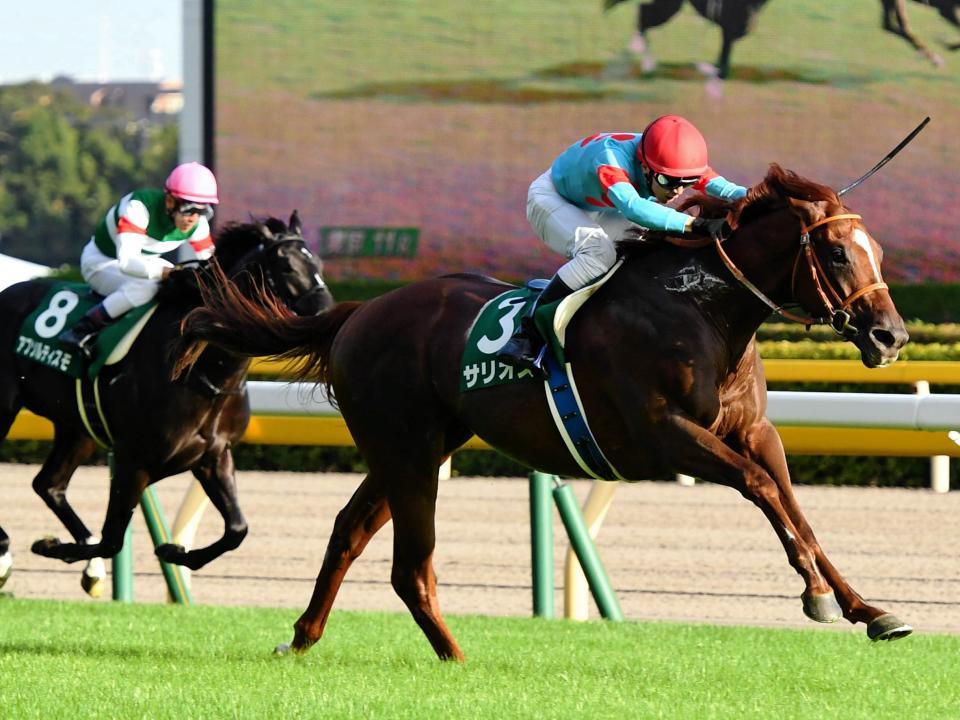無傷の２連勝でサウジアラビアＲＣを制したサリオス（右）＝東京競馬場