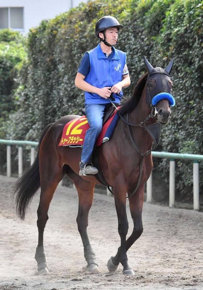 　大穴ムードが漂うトゥーフラッシー（撮影・園田高夫）