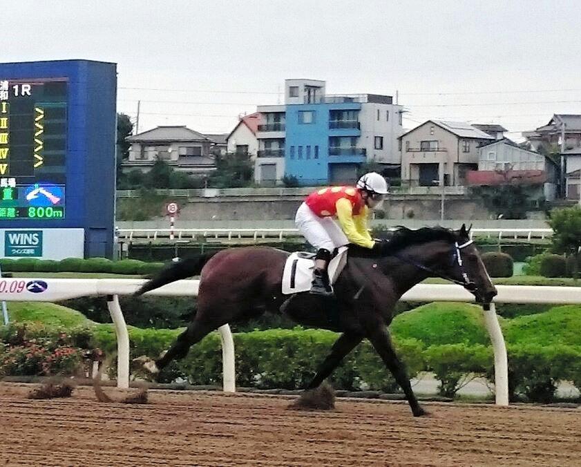 新馬戦を圧勝したナンカンダマシイ