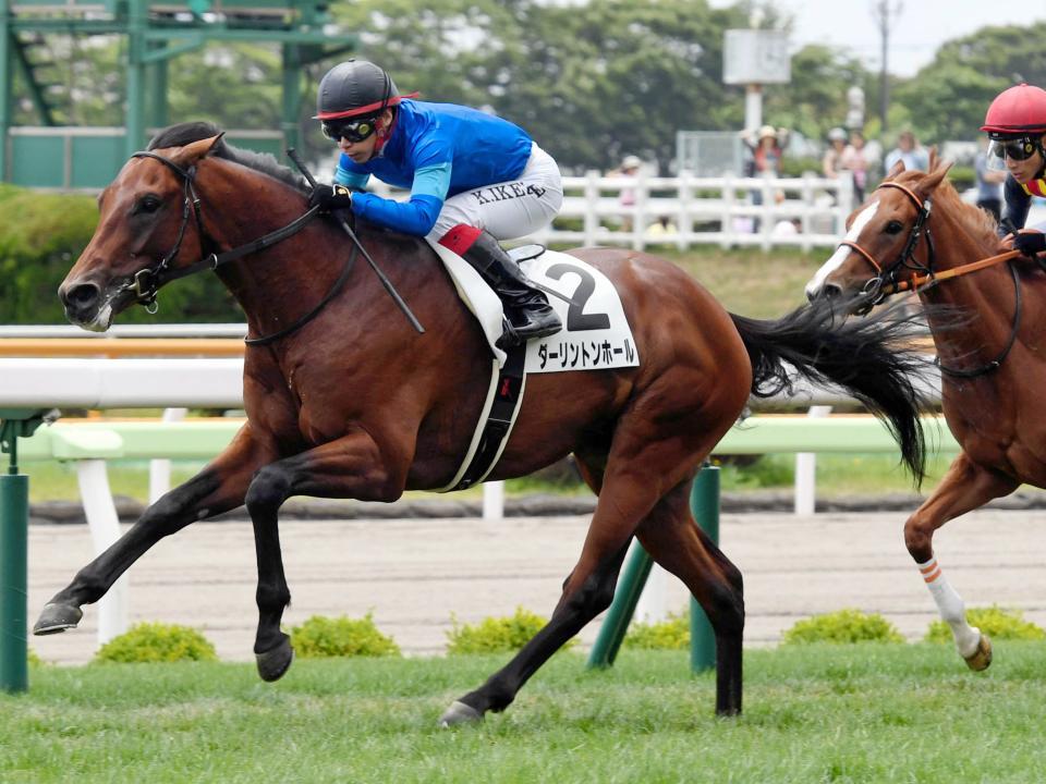７月２１日の新馬戦を快勝したダーリントンホール‖函館競馬場