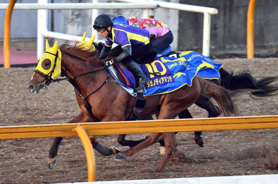 　タガノディアマンテ（手前）