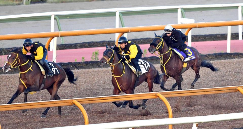 　ヴァンケドミンゴ（右）