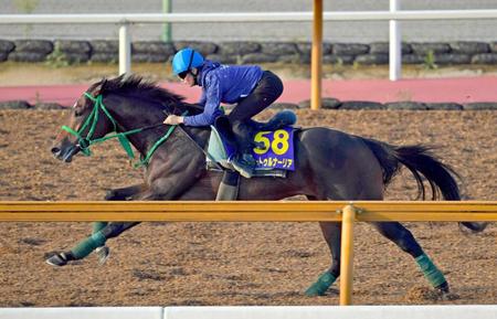 　栗東ＣＷで充実した姿を披露したサートゥルナーリア＝撮影・石湯恒介