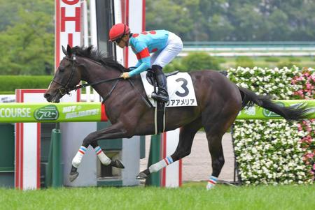 ６月１日の新馬戦を８馬身差の圧勝で勝利したリアアメリア＝阪神競馬場