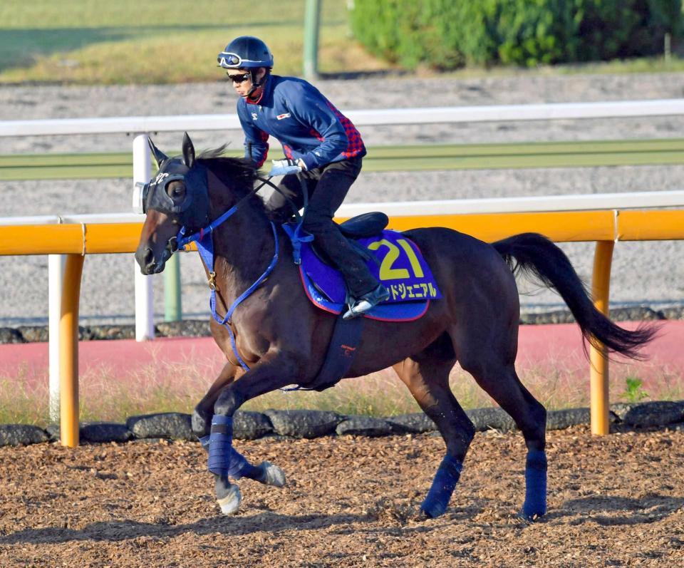 　レッドジェニアルが得意の淀で躍動する