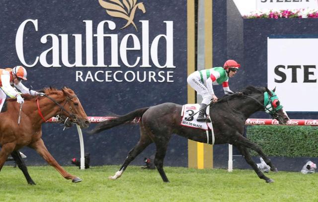 コーフィールドｃ メールドグラース豪脚ｖ 海外ｇ１初制覇 まくり切って６連勝 競馬 レース デイリースポーツ Online