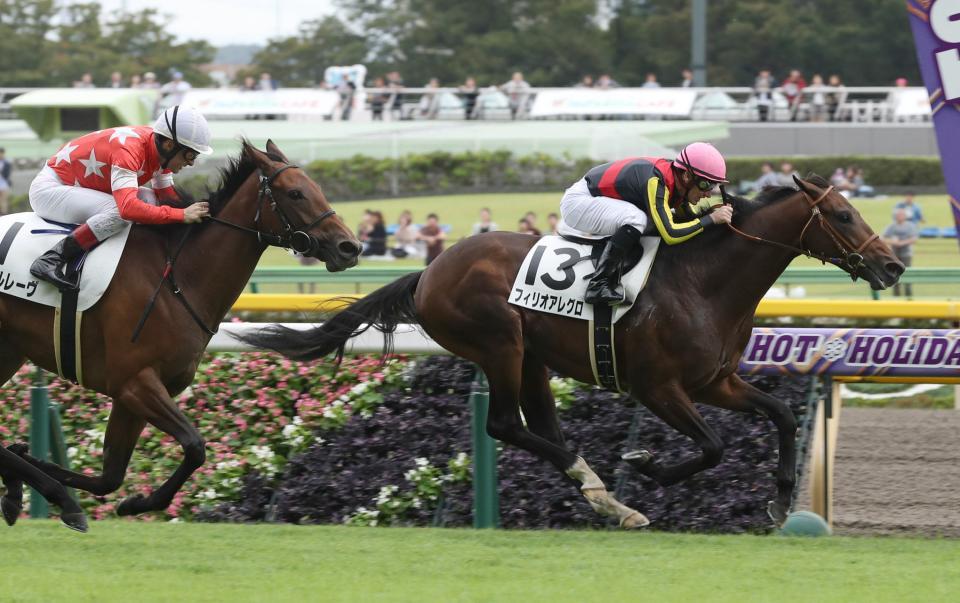 レッドルレーヴ（左）の追撃を振り切ってゴールするフィリオアレグロ＝東京競馬場