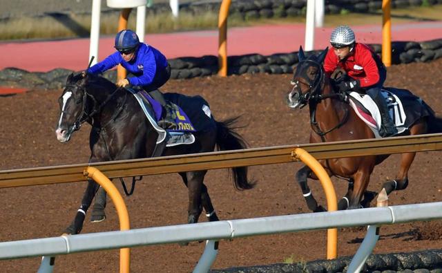 【天皇賞】ダノンプレミアム抜かりなし　川田納得の４馬身先着