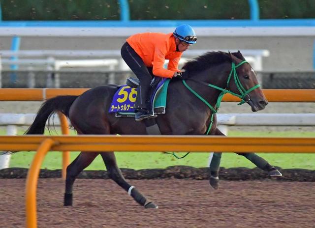 【天皇賞】サートゥルナーリア抜群の動き　スミヨン一目ぼれ「完璧な状態」