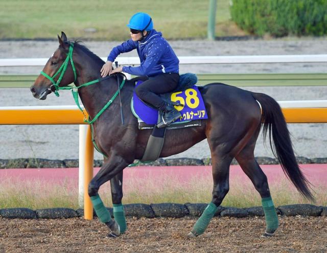 日曜東京の危険な人気馬