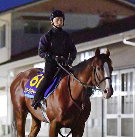 横山典の新コンビで挑むスワーヴリチャード