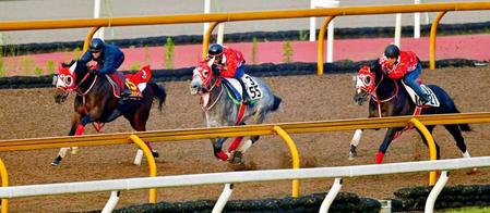 　Ｍ・デムーロを背に完璧な１週前リハを行ったラヴズオンリーユー（左）