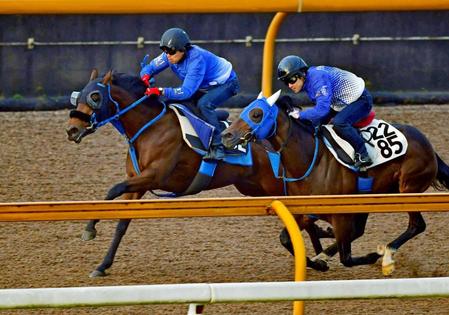 　栗東ＣＷで追い切るヤマカツマーメイド（左）